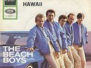    7 45 Beach Boys-Farmer's Daughter CarCover SURF