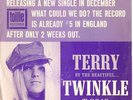 TWINKLE: 45 PICTURE SLEEVE (PS)-1965-(TERRY)-POP-(PIC)