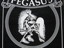 NEW MEXICO STATE UNIV LP Pegasus Private Jazz Funk HEAR