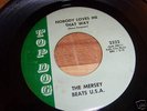 THE MERSEY BEATS U.S.A GARAGE ON TOP DOG REC LBL #2322
