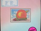 ALLMAN BROTHERS Eat A Peach Promo Copy Dickey Betts