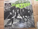 THE SEEDS GNP 2023 SKY SAXON
