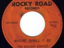 BLACK GOSPEL 45: GOLDEN ECHOES. RARE++++. QUARTET-N.C.