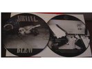 Nirvana - Blew - Rare New UK Picture Disc LP