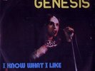 GENESIS: I Know What I Like (´73 / rare Portuguese 7