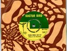 JOHNNY + ATTRACTIONS Young Wings Can Fly (Doctor Bird)