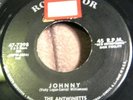 The Antwinetts RARE doo wop 45 on RCA Strong VG++ hear