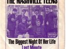 rare Nashville Teens Single, Weißpressung - Last Minute