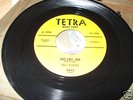 Bill Flagg Go Cat,Go rare Rockabilly TETRA 4445 Nice 