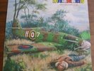LP: Hurriganes-Stranded In The Jungle (RARE Finland HR)