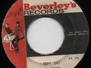 Upbeat Vocal & Heavy Organ Instr -BOSS 69 REGGAE-Listen