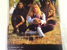 SEX MUSEUM Independence - Gatefold LP Psych Fuzz Garage