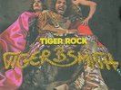 TIGER B. SMITH Tiger Rock, orig. VERTIGO SWIRL +POSTER