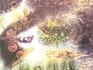 PINK FLOYD A SAUCERFUL OF SECRETS LP COLOR WAX MINT