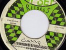 LEE PERRY - BATHROOM SKANK on UPSET label        LISTEN