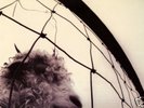 PEARL JAM VS. EPIC GATEFOLD ORIGINAL