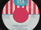 Cherry Slush   I Cannot Stop You   US 45