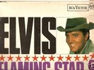 ELVIS PRESLEY....FLAMING STAR AND SUMMER KISSES  LP