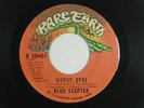 BLUE SCEPTER-SRC Michigan rock 45 GYPSY EYES RARE EARTH