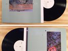 Dif Juz Extractions LP 1985 4 AD Import Liz Fraser Mint