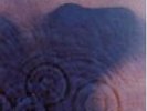 PINK FLOYD MEDDLE LP VINYL ALBUM ORIGINAL SEALED MINT