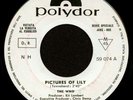 The Who: Pictures Of Lily-RARE Italian PROMO Jukebox 45