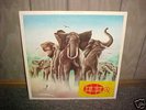Rare/UK LP-ELVIS COSTELLO-ARMED FORCES-RADAR-w/EP&Cards