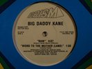 BIG DADDY KANE Raw PRISM PROMO 12