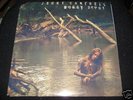 JERRY CANTRELL Boggy.. 2LP alice chains melvins nirvana