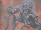 IRON MAIDEN --a real live one  --LP--pic.dic