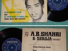 Shahri & Seroja Brunei Malay Psych pop beat EP *HEAR