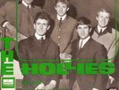 THE HOLLIES. Bus Stop. Spanish Promo (54)