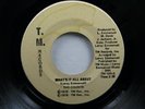 THE COUNTS What's It All About RARE 70's SOUL on TM