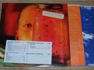 ALICE IN CHAINS Jar of Flies Sap lp ltd promo vinyl NR