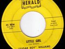 RARE BLUES 45 SUGAR BOY WILLIAMS LITTLE GIRL HERALD 555