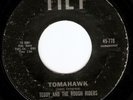 Tittyshaker Rockabilly 45 TEDDY & THE ROUGH RIDERS Hear