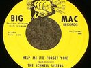 RARE MI GARAGE SOUL 45 SCHNELL SISTERS on BIG MAC HEAR