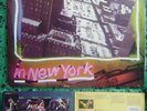 Frank Zappa in New York D-B Album