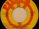 RON WRAY LIGHT SHOW 45 PIECE 1000 VG+/VG++ SPEED PSYCH