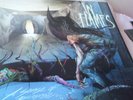 IN FLAMES A SENSE OF PURPOSE DEATH METAL LP DARK TRANQU
