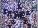 IKWEZI Rare German Afro Funk LP BITON 1982 EX - MOMBASA
