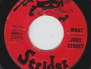NORTHERN Judy Street - What - Strider 45