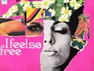 The Motherhood- I Feel So Free - LP
