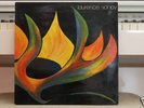 DISQUE VINYL 33 TOUR LAURENCE VANAY  1974 RARE