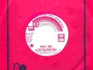 NEW DOODLETOWN PIPERS SUNSHINE POP ROGER NICHOLS 45 ?