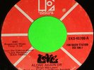 LOVE ARTHUR LEE RARE WLP DJ PROMO 45 RECORD NEAR MINT 