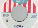 SKUNKS The Journey/Elvira USA garage folkrock Milwaukee