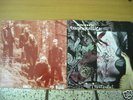 DARK TRANQUILLITY - THE MIND'S LIMITED EDITION VINYL LP
