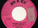 ROCKABILLY R&B on BIG- PRETTY BOY--HEAR BOTH