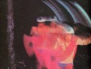 BLACK SABBATH-